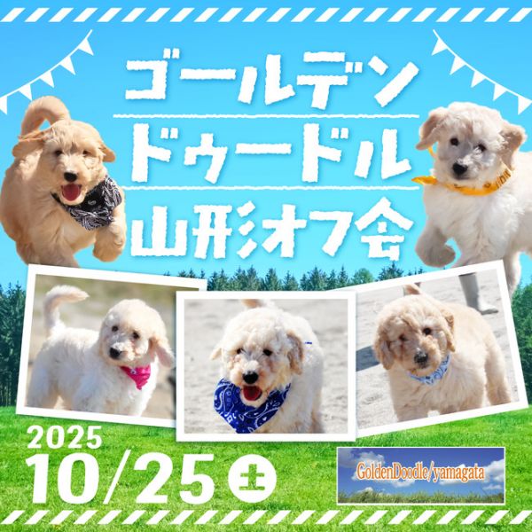 スポットフォト